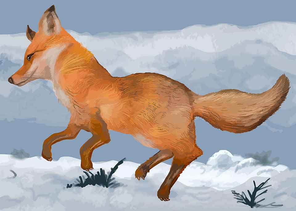 تابلو نقاشی روباه